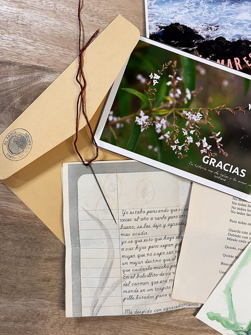 Pack 3 cartas El Árbol 